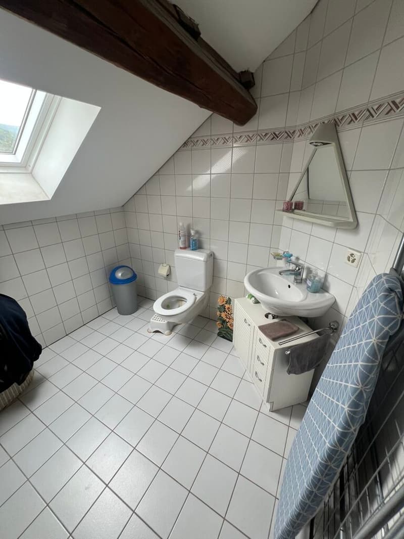 Immobilio di rendita completamente affittato (4)