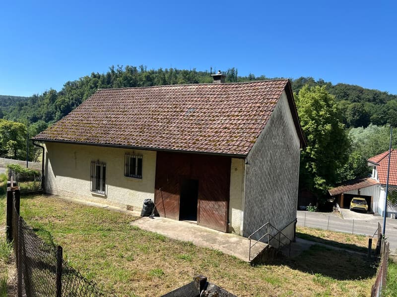 Charmante maison villageoise rénovée avec goût et en bordure de forêt (10)