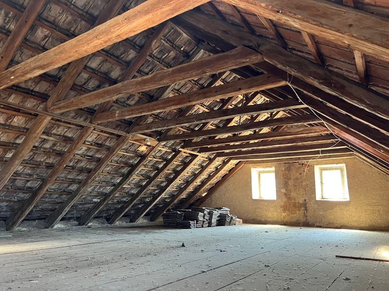 Charmante maison villageoise rénovée avec goût et en bordure de forêt (8)