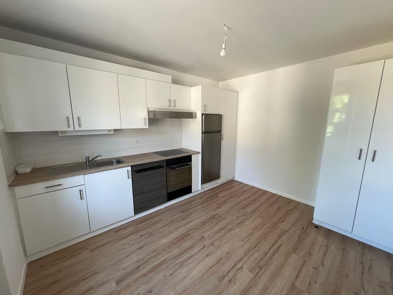 Charmante maison villageoise rénovée avec goût et en bordure de forêt (6)