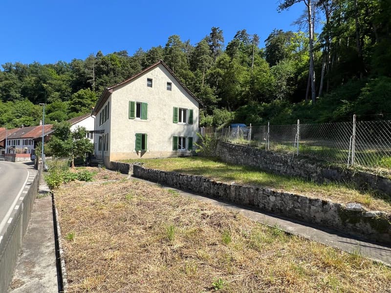 Charmante maison villageoise rénovée avec goût et en bordure de forêt (9)