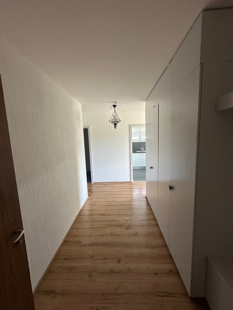 Très bel appartement rénové en 2022 à louer à Boncourt (8)