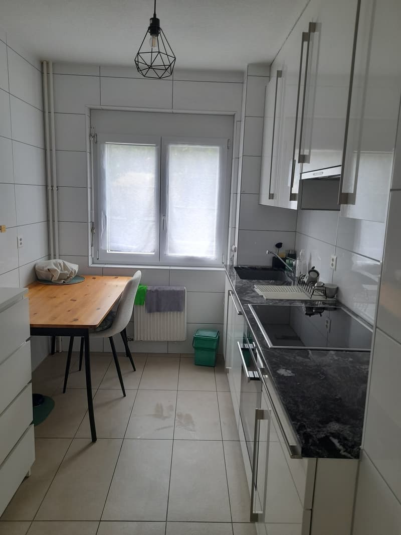 Très bel appartement à louer au cœur de St-Imier (7)