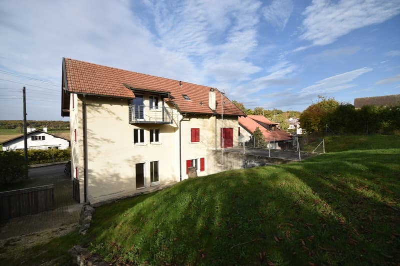 Immeuble de rendement composé de 3 appartements (1)