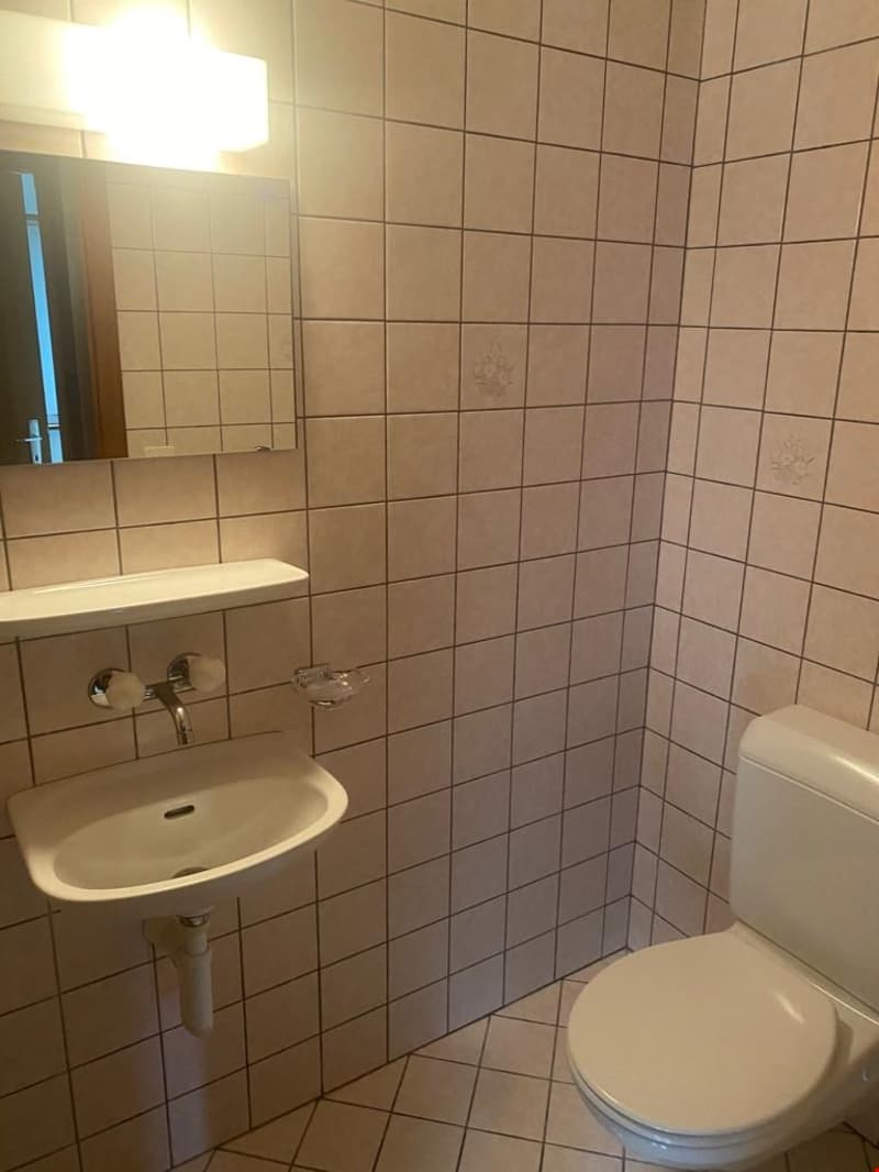 A louer appartement 4p à Bonfol - 3 mois de loyers offerts (7)