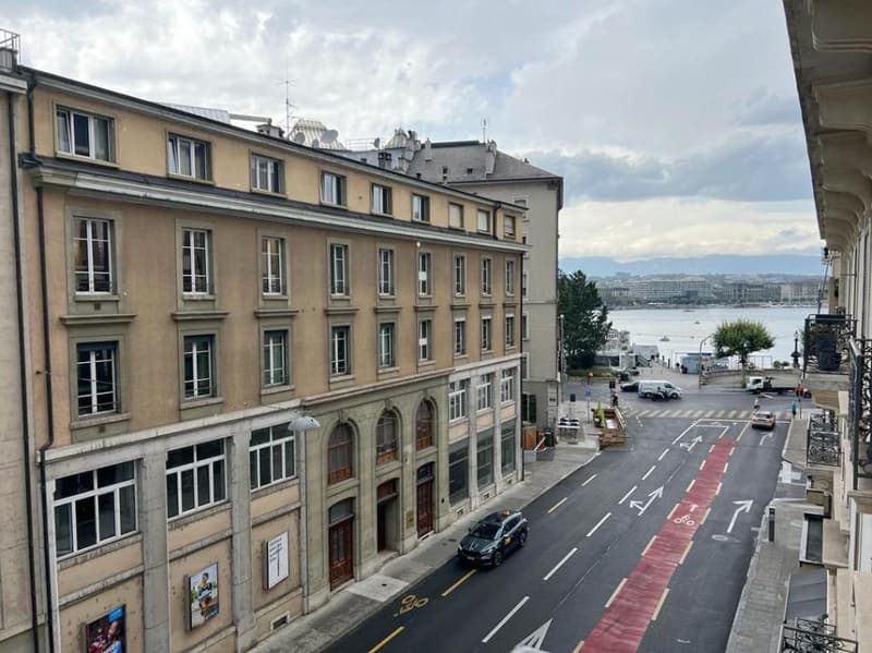 Appartement unique en location  au coeur de Genève (10)