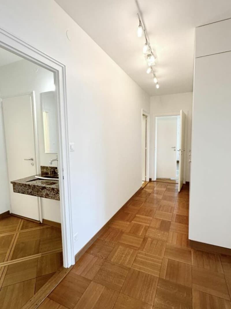 7-Zimmer-Wohnung in Genf (13)
