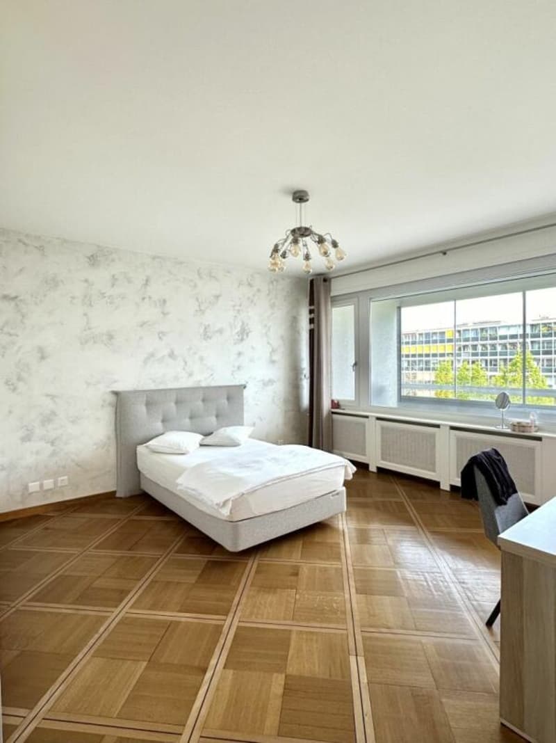 7-Zimmer-Wohnung in Genf (24)