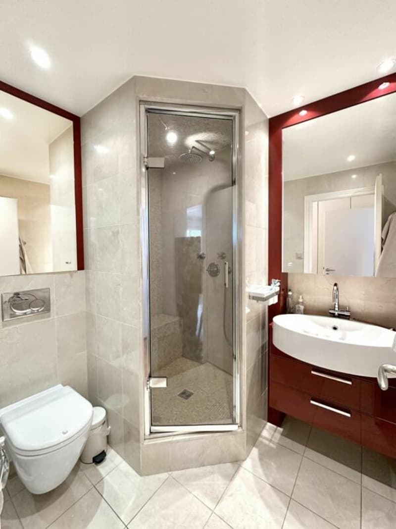 7-Zimmer-Wohnung in Genf (27)