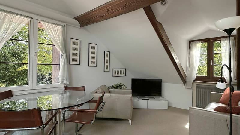 Charmanter möbliertes Apartment auf einem privaten Grundstück (11)