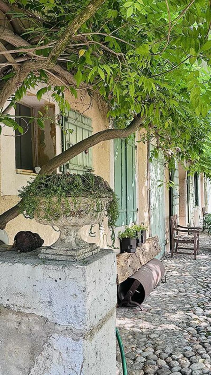 Charmanter möbliertes Apartment auf einem privaten Grundstück (3)