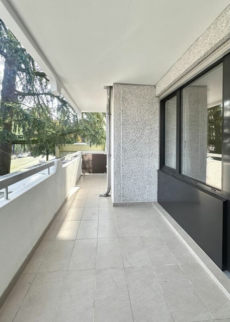Investment Opportunity - 7-Room Apartment in Geneva (9)