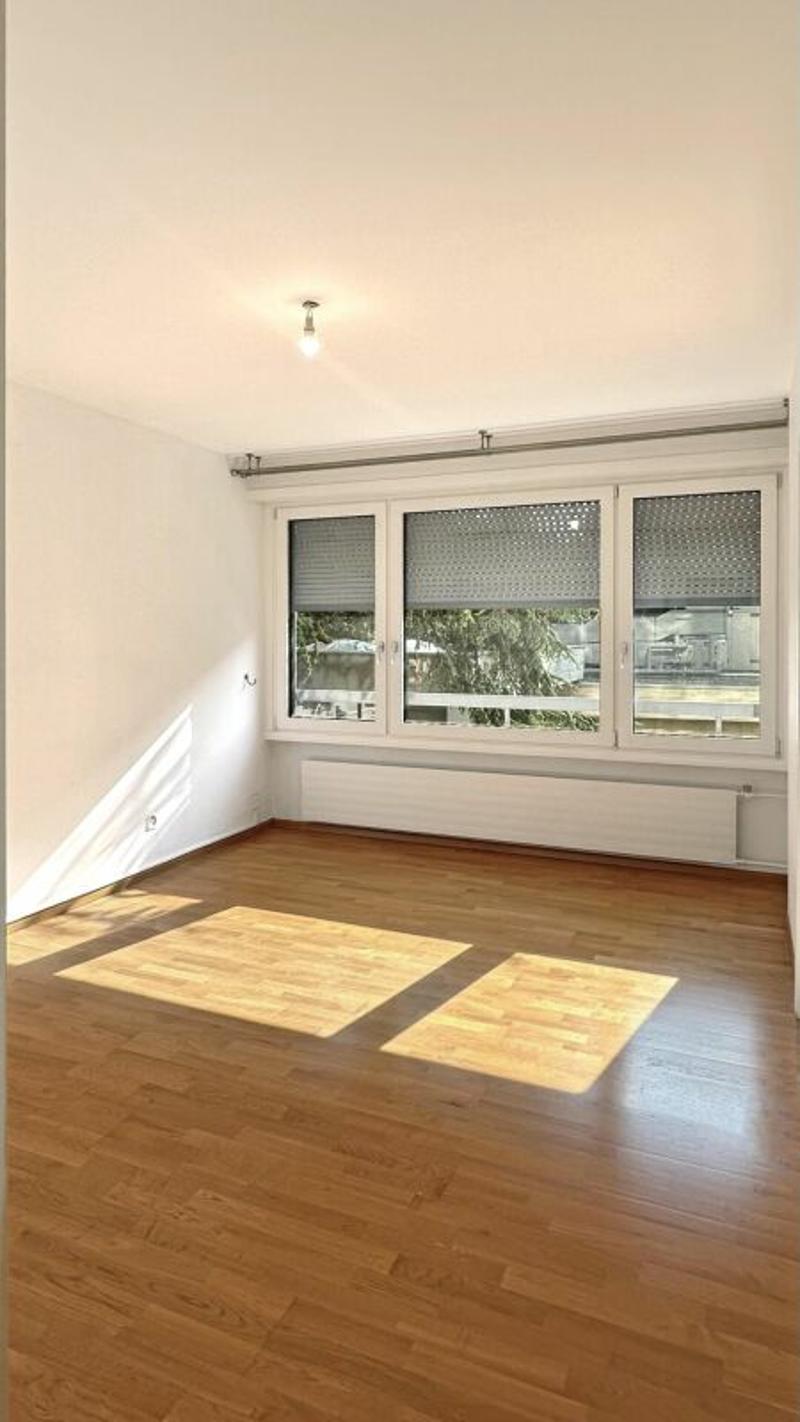Investment Opportunity - 7-Room Apartment in Geneva (13)