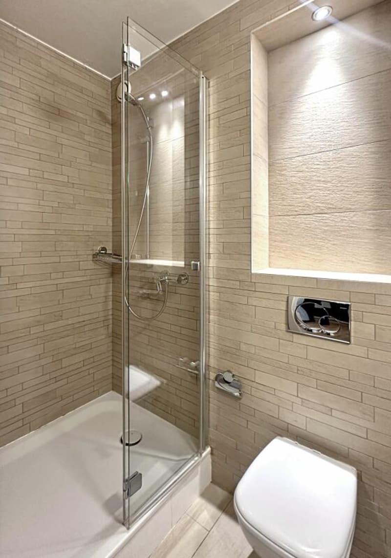Investment Opportunity - 7-Room Apartment in Geneva (19)