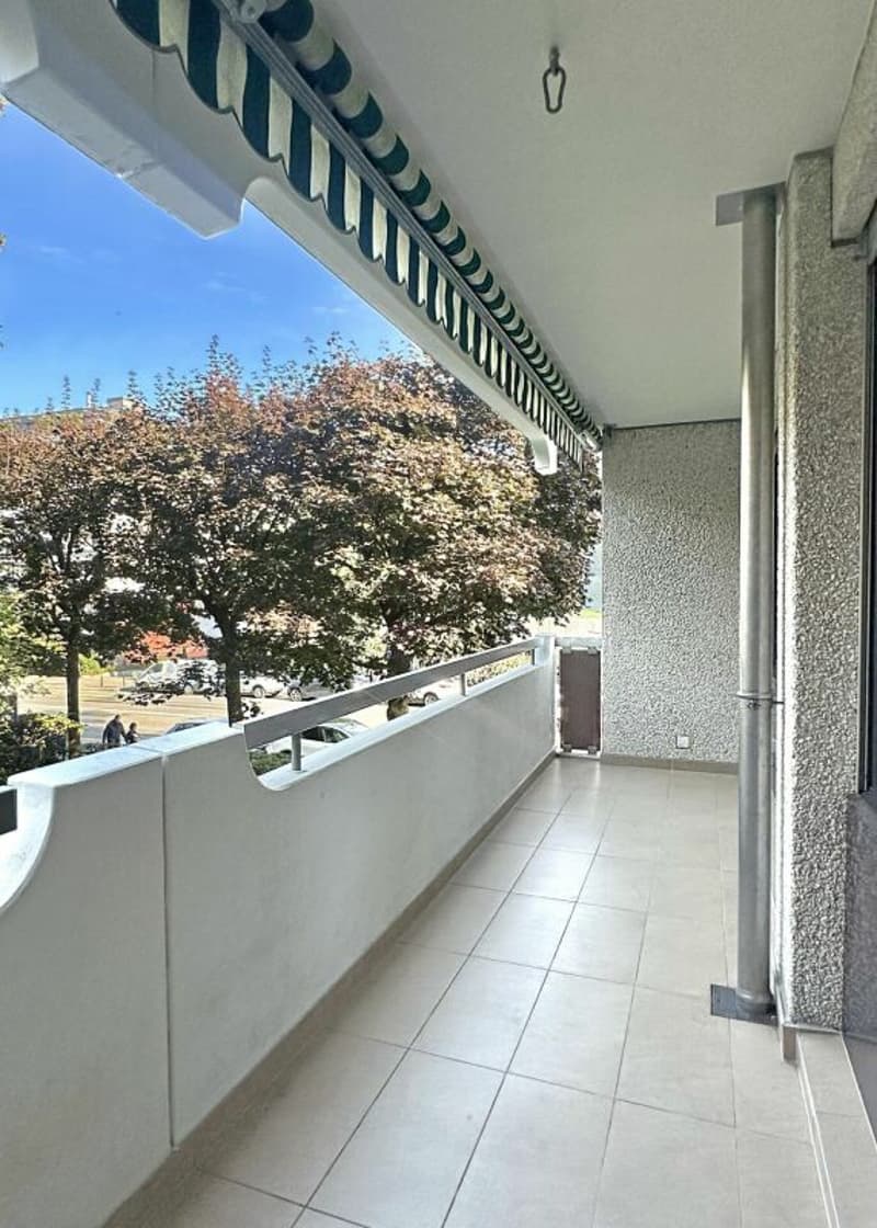 Investment Opportunity - 7-Room Apartment in Geneva (11)