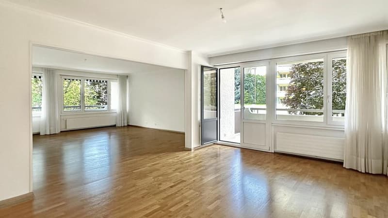 Investment Opportunity - 7-Room Apartment in Geneva (4)