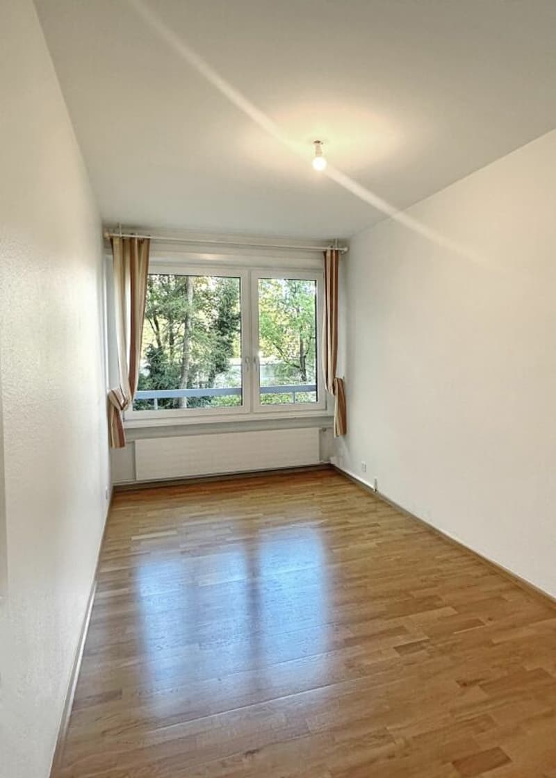 Investment Opportunity - 7-Room Apartment in Geneva (15)