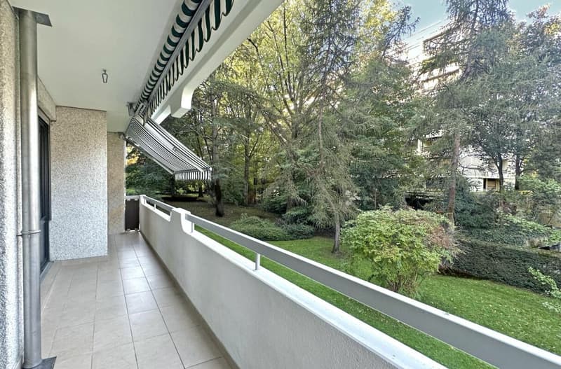 Investment Opportunity - 7-Room Apartment in Geneva (7)
