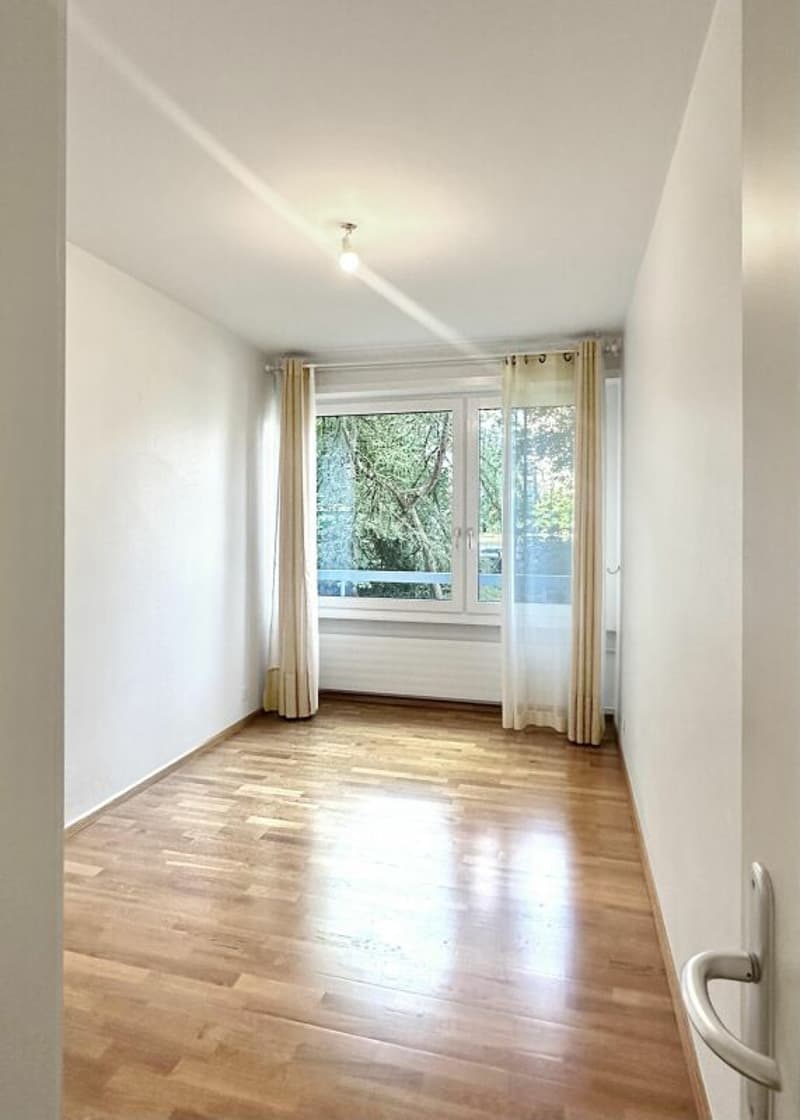 Investment Opportunity - 7-Room Apartment in Geneva (17)