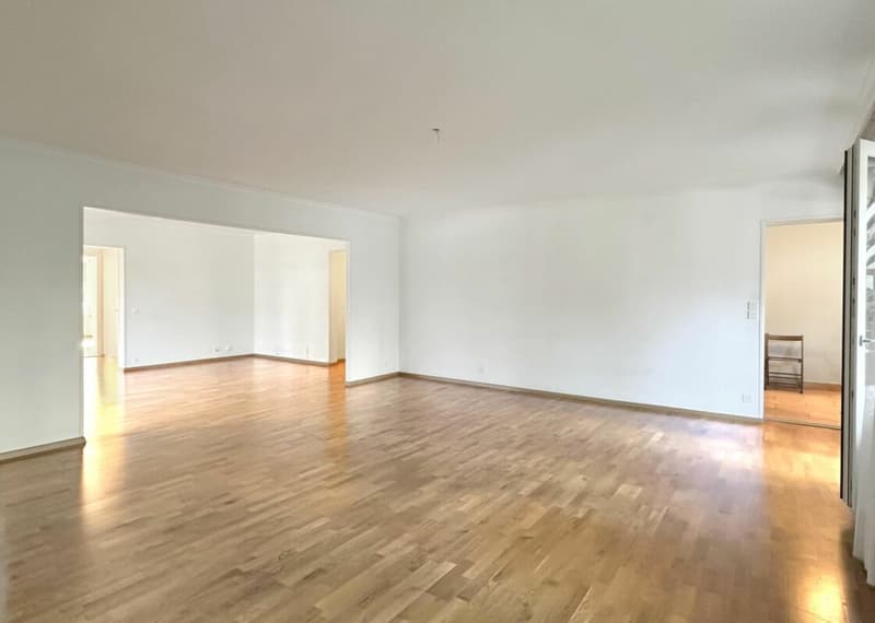 Investment Opportunity - 7-Room Apartment in Geneva (10)