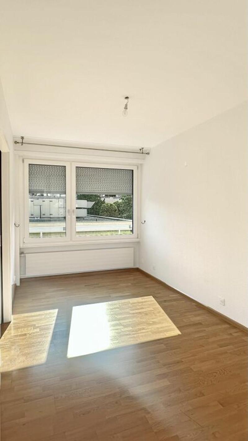 Investment Opportunity - 7-Room Apartment in Geneva (16)