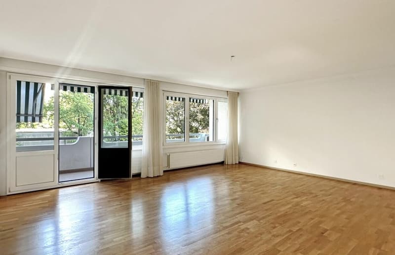 Investment Opportunity - 7-Room Apartment in Geneva (5)