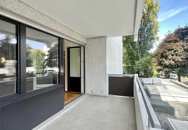 Investment Opportunity - 7-Room Apartment in Geneva (8)