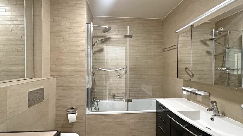 Investment Opportunity - 7-Room Apartment in Geneva (18)