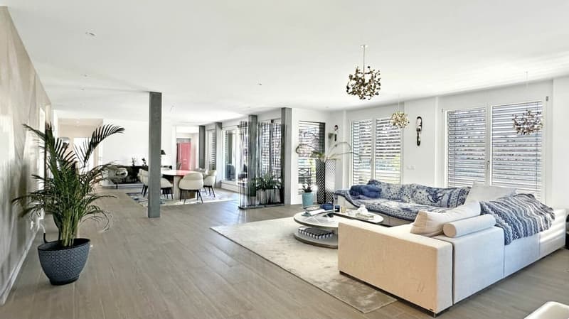 Prächtige Wohnung mit Terrasse und Aussicht im 5. Stock (6)