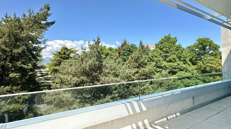 Prächtige Wohnung mit Terrasse und Aussicht im 5. Stock (9)