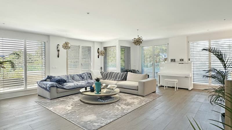 Prächtige Wohnung mit Terrasse und Aussicht im 5. Stock (5)