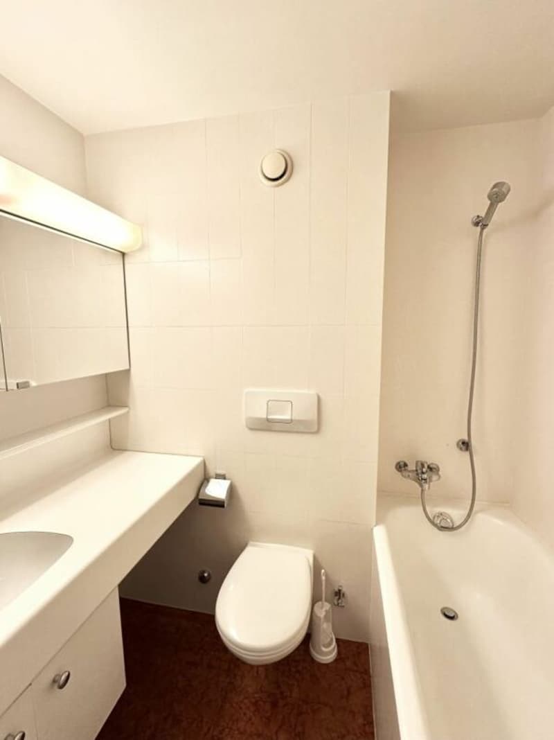 Triplex 6 rooms in Conches (24)