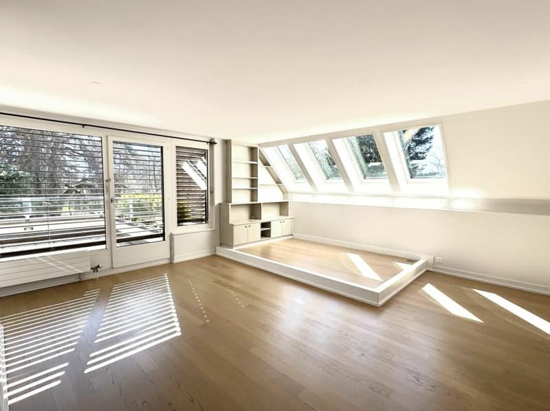 Triplex 6 rooms in Conches (29)