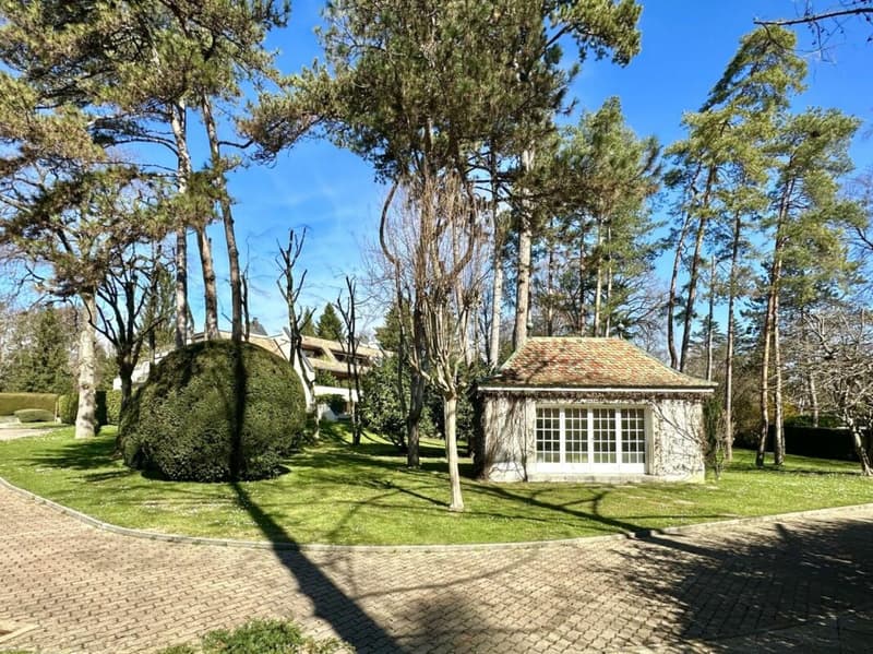 Triplex 6 rooms in Conches (35)