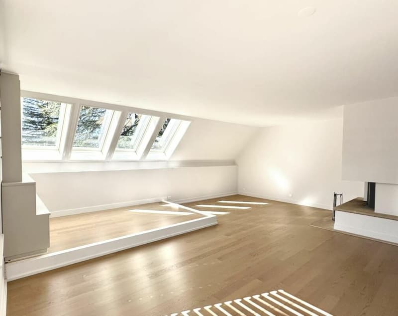 Triplex 6 rooms in Conches (30)