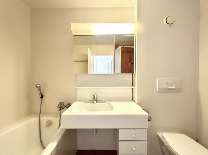 Triplex 6 rooms in Conches (27)