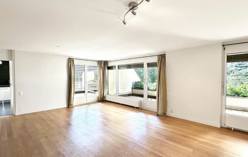 Triplex 6 rooms in Conches (17)