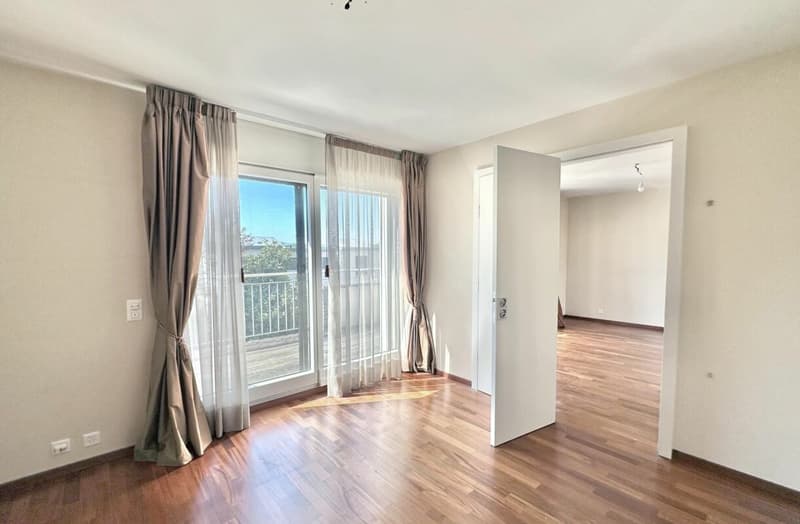 Schönes Apartment mit Garten in Champel (24)