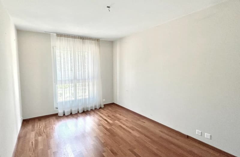 Schönes Apartment mit Garten in Champel (31)