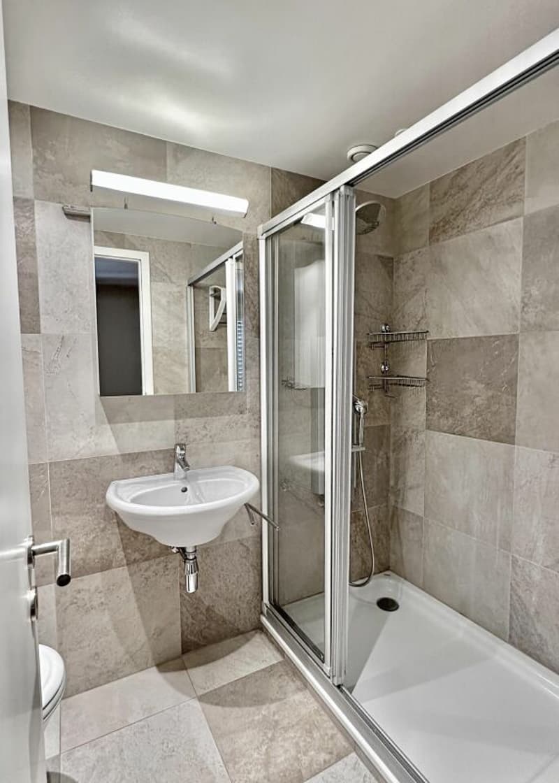 Schönes Apartment mit Garten in Champel (32)