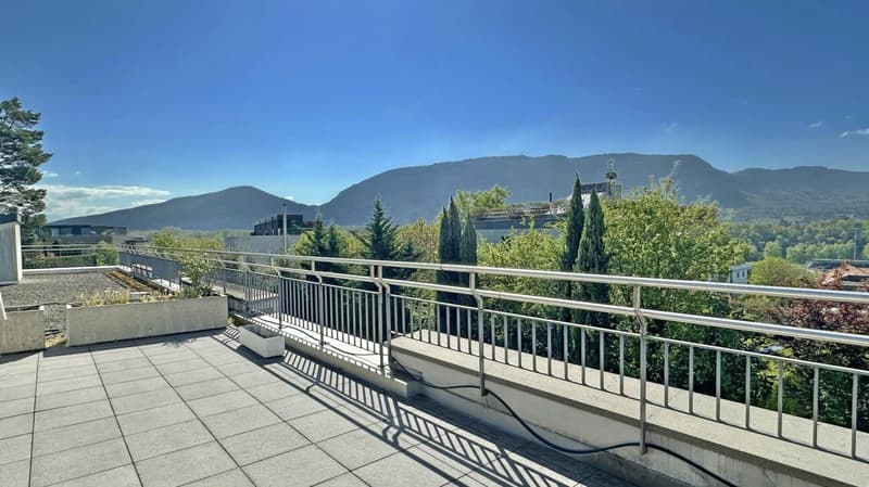 Schönes Apartment mit Garten in Champel (36)