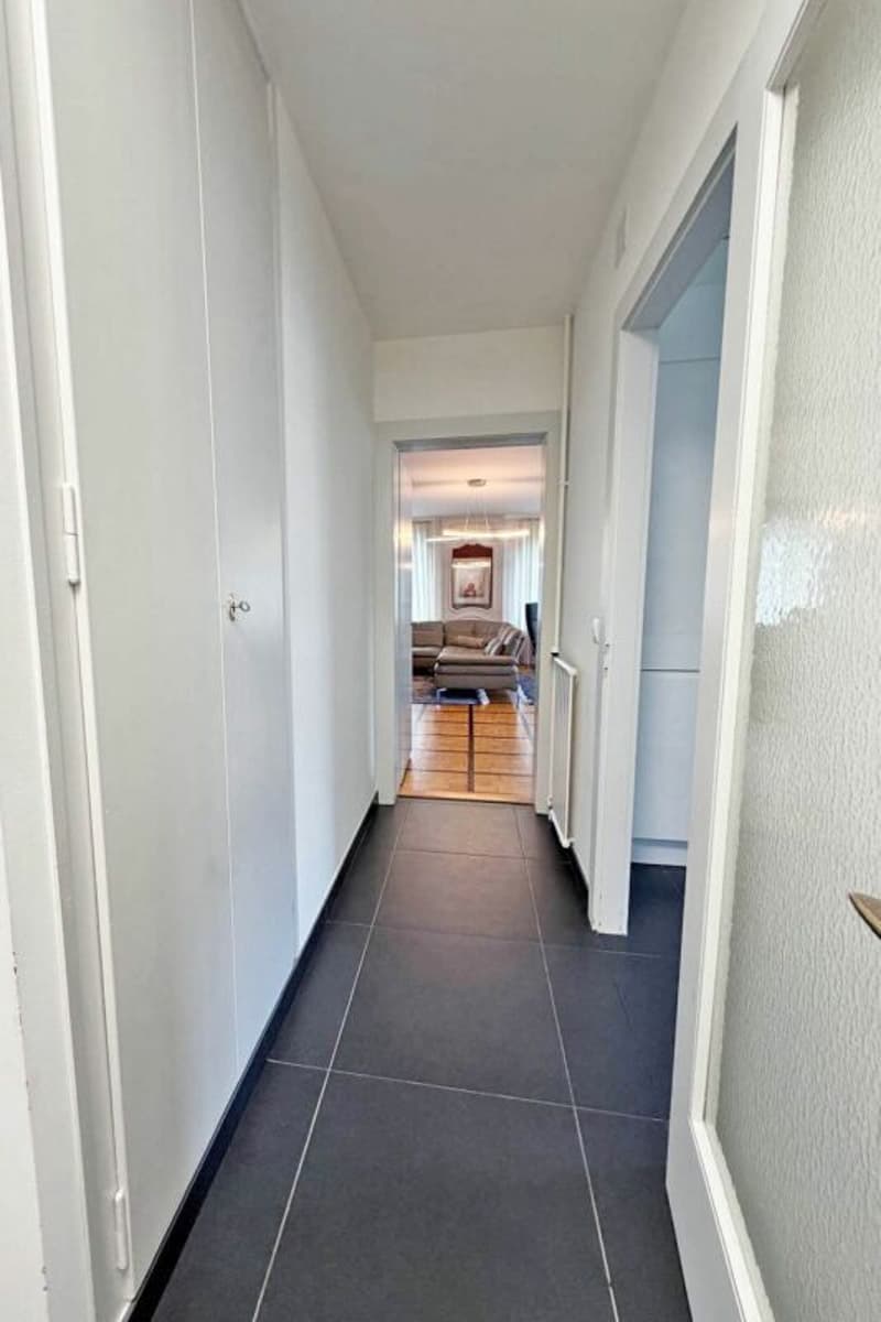 Schönes geräumiges Apartment mit zwei Balkonen (12)
