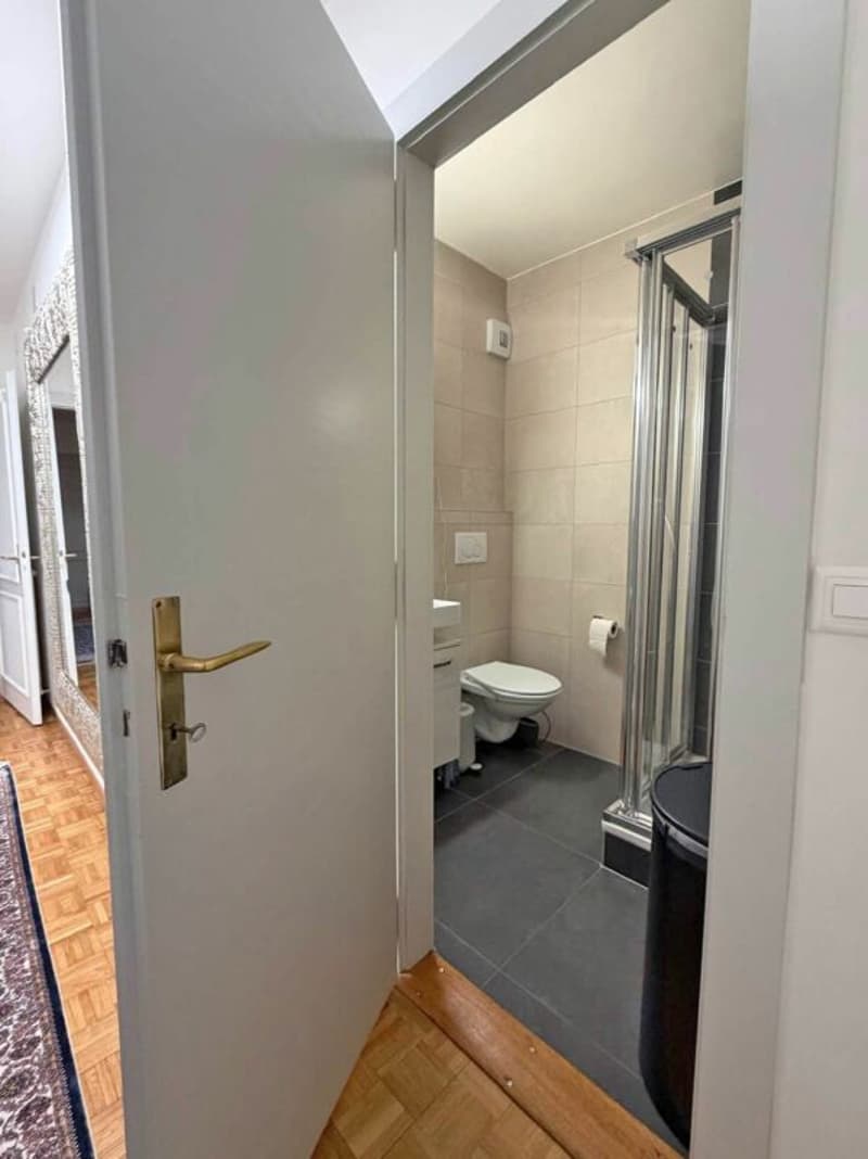 Schönes geräumiges Apartment mit zwei Balkonen (4)