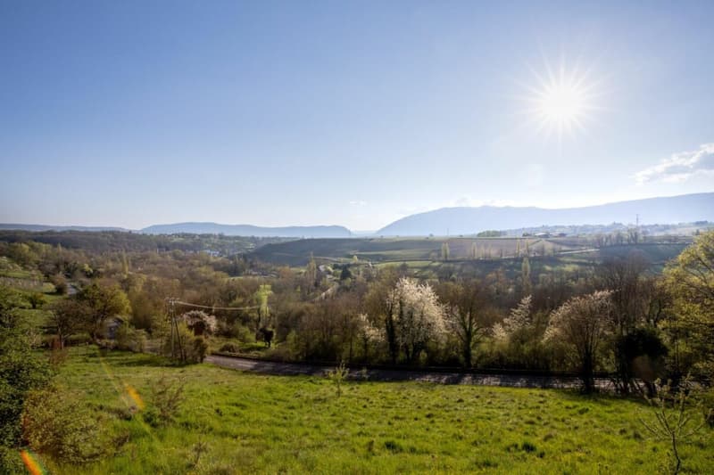 Magnificent Manor House in the Geneva Countryside - Left Bank (1)