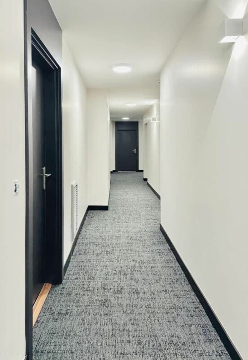 4-Zimmer-Wohnung in Gaillard (4)