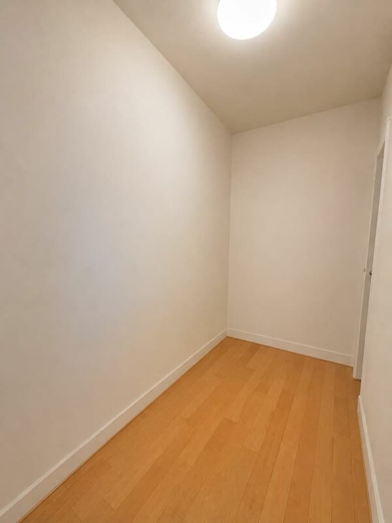 Charaktervolle Wohnung mit Balkon im Herzen von Genf (12)
