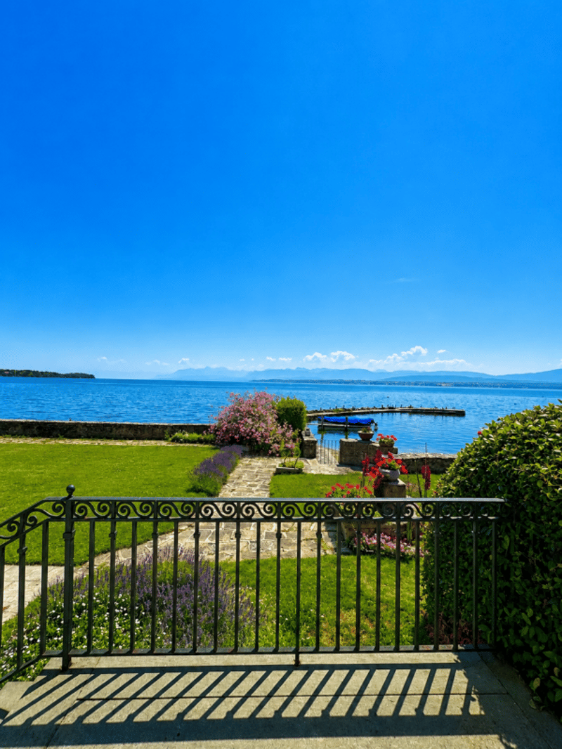 Proprietà eccezionale a pelo d'acqua a Nyon (11)