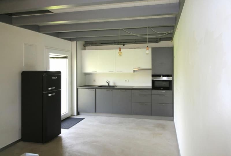 In esclusiva: appartamento 2.5 locali a Plan-les-Ouates - in vendita (7)