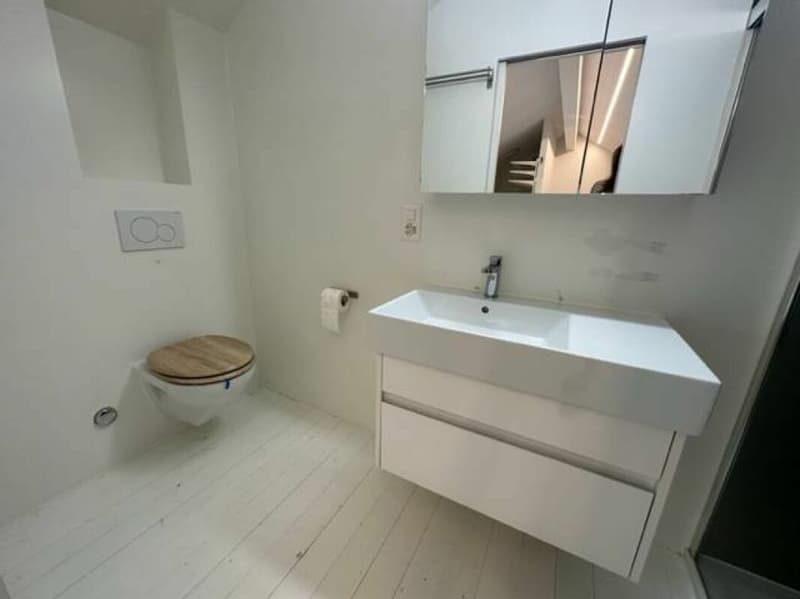 In esclusiva: appartamento 2.5 locali a Plan-les-Ouates - in vendita (16)