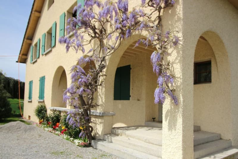 Appartement 5 pièces à Plan-les-Ouates - à Vendre (1)